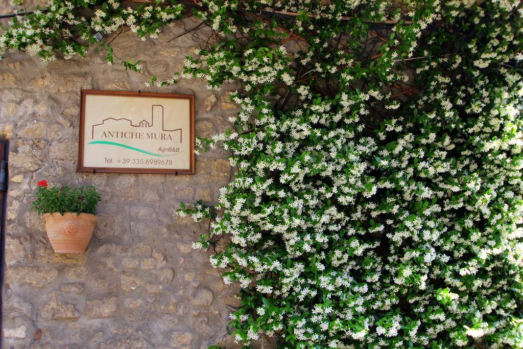B&B Antiche Mura Таркиния Екстериор снимка