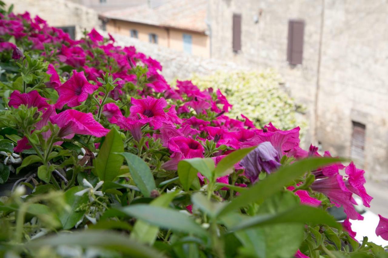 B&B Antiche Mura Таркиния Екстериор снимка